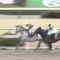 【競馬】牛若丸ジャンプS 単1.3倍トラストの熊沢騎手、セーフティリードに余裕こきすぎてゴール直前であわや差されそうになる