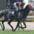 【競馬】クリソベリル負けて秋G1強い1番人気の潮目が変わってしまうがする