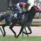 【競馬・安田記念】ダノンキングリーの勝ちが素直に嬉しいやつｗｗｗｗ