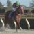 【競馬】モズアスコット二刀流V明け元気　次走は芝の豪G