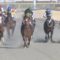 【競馬】ダートって差しが有利な状態ってあるの？