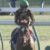 【競馬・高松宮記念】モズアスコットが勝ったら中央G1連戦連勝だけど