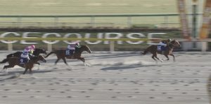 【競馬・フェブラリーS】アンカツ怒る「(福永)ワイドファラオと(田辺)アルクトスはやり合いすぎ」