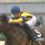 【競馬】川田将姜さん、この土日で11戦中10馬券内(3-3-3-1)