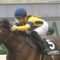 【競馬】川田74勝、ルメール68勝、武豊47勝。松山46勝、福永41勝