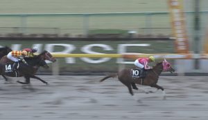 【競馬】マスターフェンサー鞍上はアッゼニ騎手