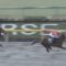 【競馬】マスターフェンサー鞍上はアッゼニ騎手