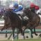 【競馬・有馬記念】公開枠順抽選会③ウインキートス3枠6番 ④ユーキャンスマイル4枠8番