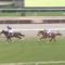 【競馬・中山グランドJ】シングンマイケル金子騎手「オジュウは強いけど色々考えてる」