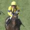 【競馬・ヴィクトリアM】トロワゼトワル残ると思ったやつの数→