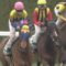 【競馬・ヴィクトリアM】サウンドキアラ松山の好騎乗が全く話題になってない件