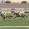 【競馬・京都牝馬S】澤竹と長岡が喧嘩・・「ちょっと言ってる意味がわからない」