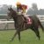 【競馬】クロノジェネシスがいつのまにか現役最強クラスの牝馬みたいな扱いになっててワロタ