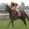 【競馬】クロノジェネシス、ドバイ遠征か「前向きに準備」