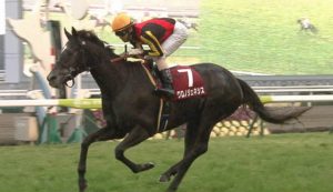 【競馬】秋華賞ってめちゃくちゃな出世レースだよな