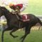 【競馬】秋華賞ってめちゃくちゃな出世レースだよな