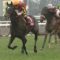 【競馬】クロノジェネシスは北村友一とドバイシーマクラシックへ