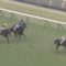 【競馬・皐月賞】悲報・・ダーリントンホール、デムーロ予定もエージェントの一声で丸山に乗り替わり