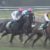 【競馬・共同通信杯】武豊大外ぶんまわしｗｗｗｗｗｗｗｗｗｗｗｗｗｗｗｗｗｗｗｗｗ