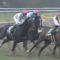 【競馬・共同通信杯】武豊大外ぶんまわしｗｗｗｗｗｗｗｗｗｗｗｗｗｗｗｗｗｗｗｗｗ