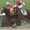 【競馬】美浦リーディング O.マーフィー27勝 横山武25勝 田辺23勝 吉田隼21勝 石橋20勝 三浦19勝