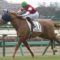 【競馬・オールカマー】ウインマリリン横山武上手すぎワロタァ！！