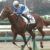 【競馬板】アンジャッシュ渡部なにしたんだよ！？これ…