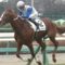 【競馬】昆調教師、外人騎手優遇を批判　「上手い騎手が乗せて貰えない。俺は日本人騎手でＧ１取る」
