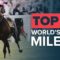 【競馬】朗報！！モーリスがマイラー世界トップ10に正式に選出される