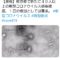 【競馬板】東京陽性＋40人以上