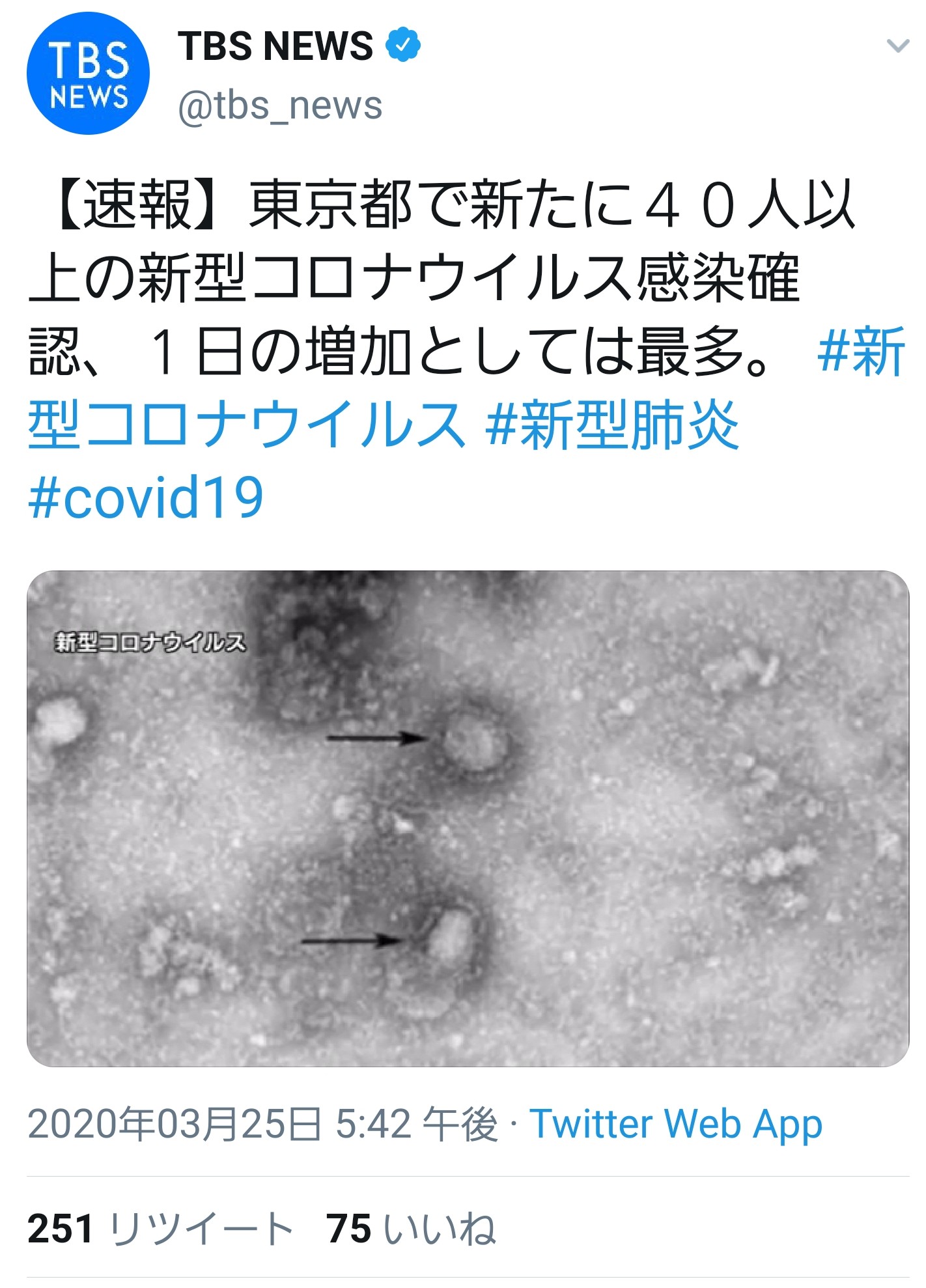 【競馬板】東京陽性＋40人以上