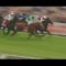 【競馬】当時の人たち「神の馬ラムタラ種牡馬入り！こりゃあ種牡馬成功間違いなし！！」