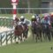 【競馬】宝塚記念でキタサンブラックを倒しそうな馬予想