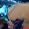 【競馬】＜動画＞ 武豊のヘルメットカメラ映像見たけどガチでまたがってるだけだな　俺でも余裕だは