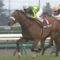 【競馬】武豊騎手って本当に上手いの？