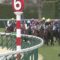 【競馬】騎手免許一次試験合格者無し