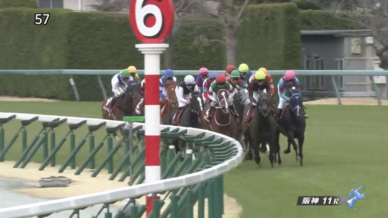 【競馬】東京8R　怪物グレートマジシャン登場！！！【結果】