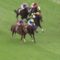 【競馬】スーパーホーネット処分されていた模様