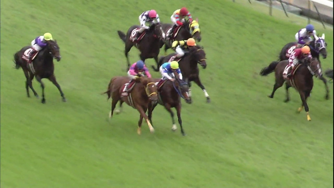 【競馬】スーパーホーネット処分されていた模様