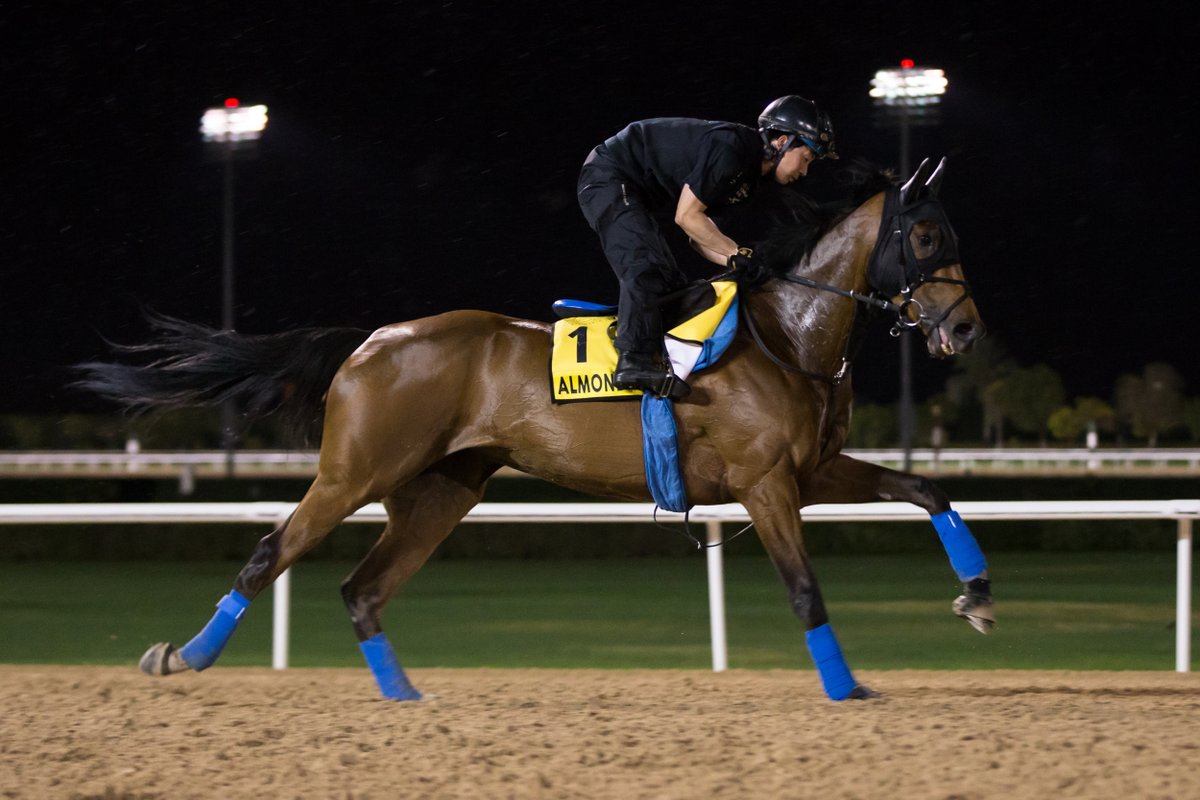 【競馬】ドバイ到着後のアーモンドアイの馬体がヤバすぎる…