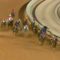 【競馬】サウジC（1着賞金11億）優勝馬・マキシマムセキュリティにドーピング疑惑