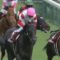 【競馬・大阪杯】ダノンキングリー　横山典