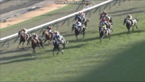【競馬・スプリングS】サクセッション強えwwwww