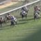 【競馬・スプリングS】サクセッション強えwwwww
