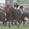 【競馬】ピンクカメハメハ戸崎サウジダービー制覇ｗｗｗｗｗｗ