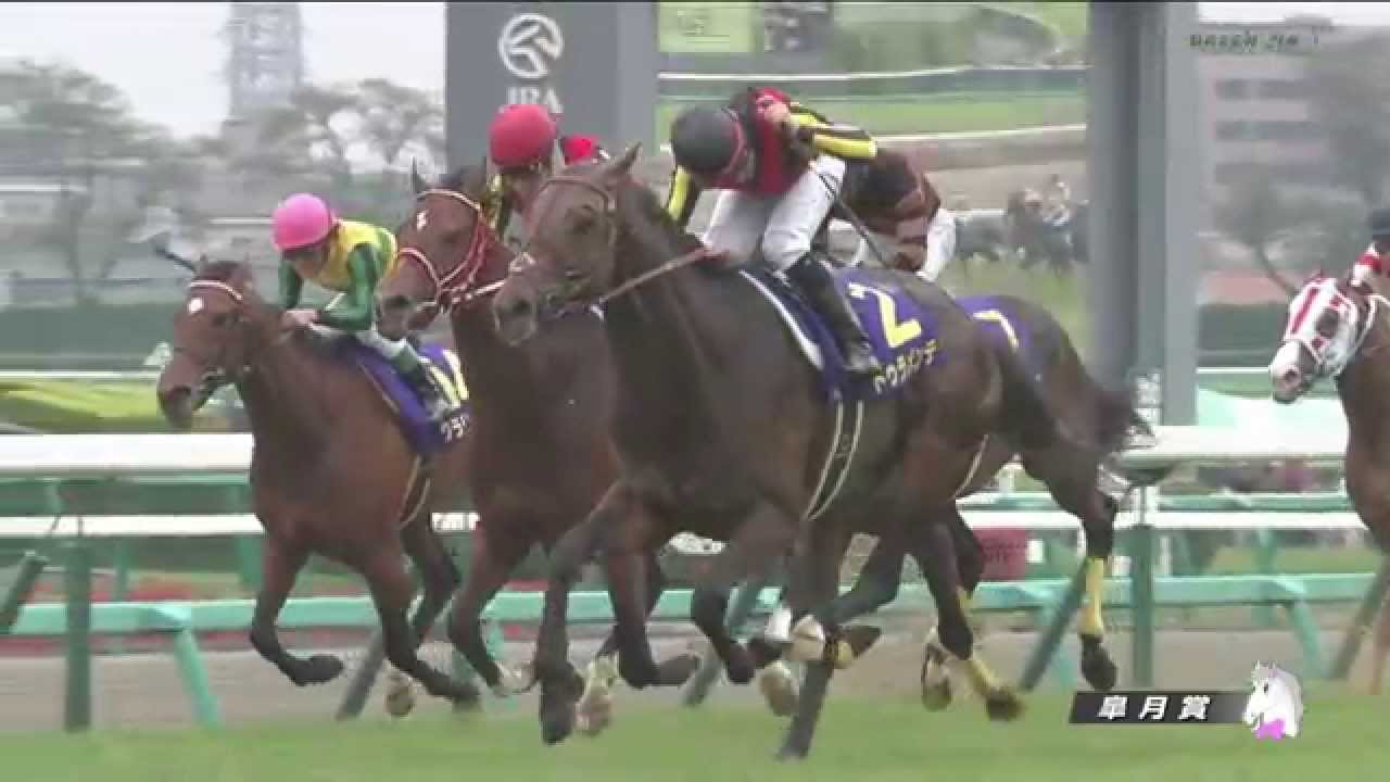 【競馬・大阪杯】前走は前が壁・・マリアエレーナ恒例の火曜追いで11秒3　吉田調教師「負ける気しない」