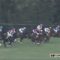 【競馬】ディープインパクトの若駒ステークス、モーリスのダービー卿チャレンジトロフィー、あと一つは？