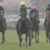 【競馬】朗報！！松山弘平　オークスはディアリングタクト乗れそう