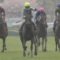【競馬】桜花賞前のアンカツ「デアリングタクトは父親みたいな取りこぼしがなければ二冠もあると思う」