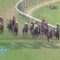 【競馬】やっぱエピファネイアって化け物級だったんだと思う・・・・